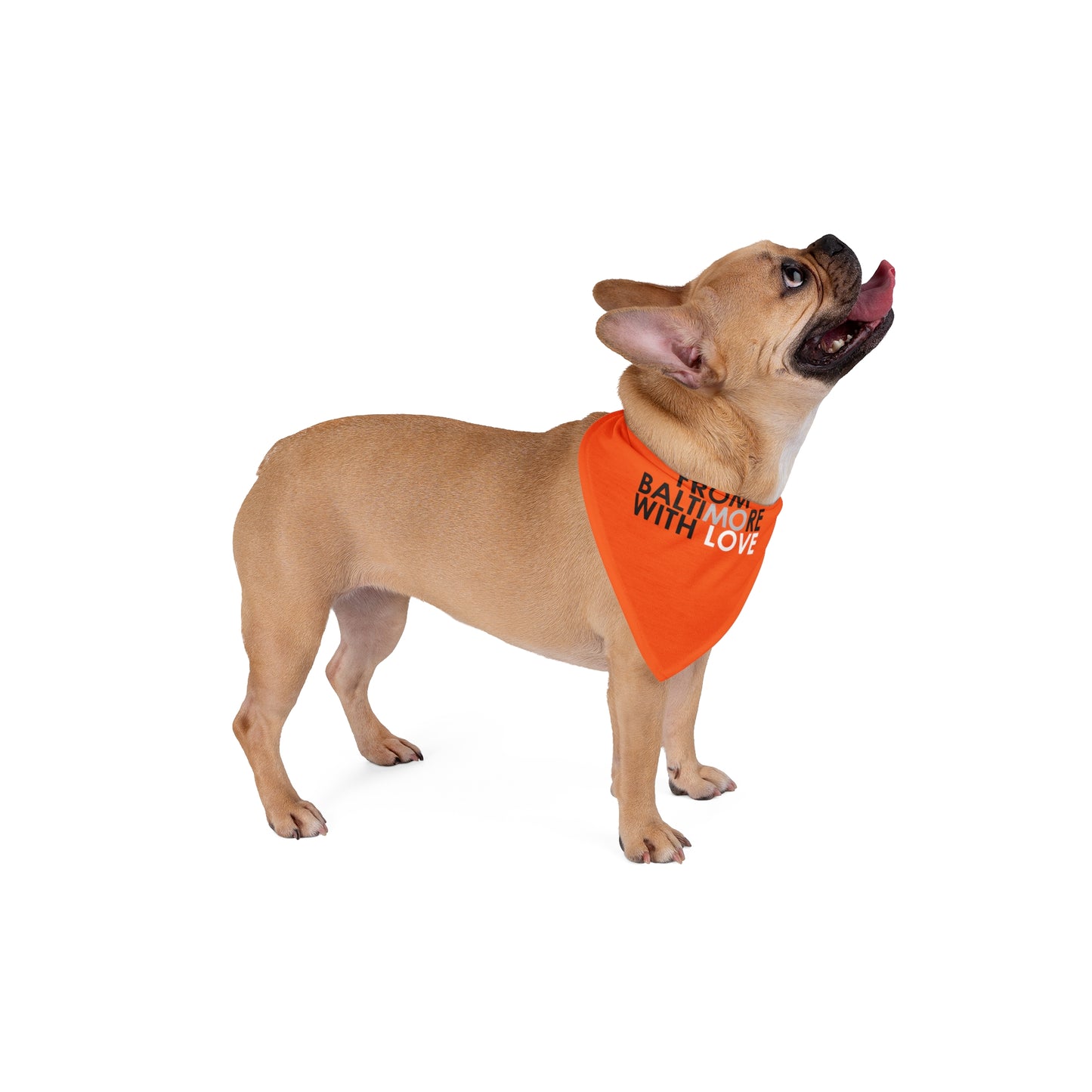 Orioles Pet Bandana Orange - From Baltimore With Love™